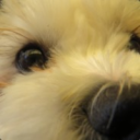 TheMisterEpic's Lounge Discord Server Logo