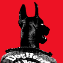 Star Fetchers Discord Server Logo