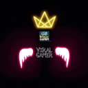 The Viral Gamer Discord Server Logo