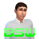 Burinis and his Sims World Discord Server Logo