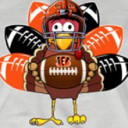 Cincinnati Bengals Discord Server Logo