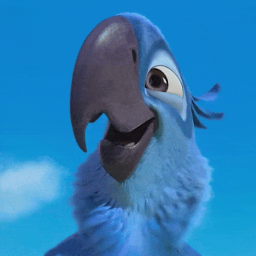 Rio Discord Server Logo