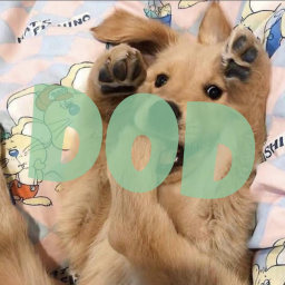 Dogs of Discord Discord Server Logo