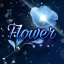 🌹 Flower 🌹 Discord Server Logo