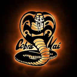 Cobra Kai Discord Server Logo