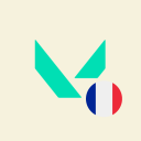 VALORANT FR Discord Server Logo