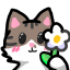 🍩﹒DONANETA 😼 Discord Server Logo