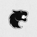 FURIA Discord Server Logo