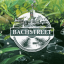 Bachstreet Discord Server Logo