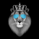 SALEO Discord Server Logo