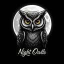 Night Owls Discord Server Logo