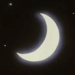 Moonlit Paws Discord Server Logo