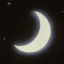 Moonlit Paws Discord Server Logo