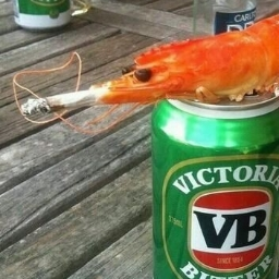 Kookaburra Club Discord Server Logo