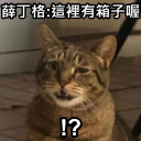 薛丁格之池 Discord Server Logo