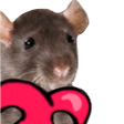 HyperRats Discord Server Logo