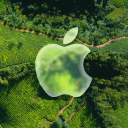 The Apple Den Discord Server Logo