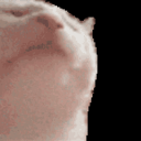 Snerver Discord Server Logo