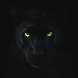 Emmashtream Discord Server Logo