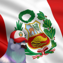 🕯︱Peru Discord Server Logo