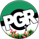 Pokemon GO Raiders Discord Server Logo