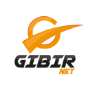 GIBIRNet Discord Server Logo