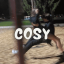 Cosy Discord Server Logo