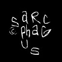 Sarcophagus Community Discord Server Logo