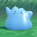 morebreedingdittos Discord Server Logo