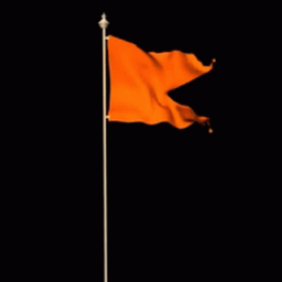 Mera Desh Discord Server Logo