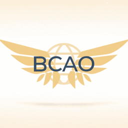 Bloxburg Civil Aviation Organization Discord Server Logo