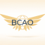Bloxburg Civil Aviation Organization Discord Server Logo