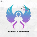 Join Aureole Esports Official Discord Server | Invite Link