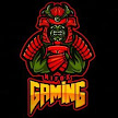 Nifox Gaming Discord Server Logo
