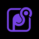 Photographer's Support Discord Server Logo
