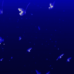 COOKIE'S FAMILY Discord Server Logo