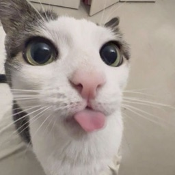 Atheriex Discord Server Logo