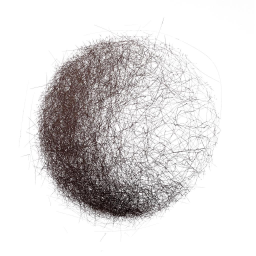 Light's Server Discord Server Logo