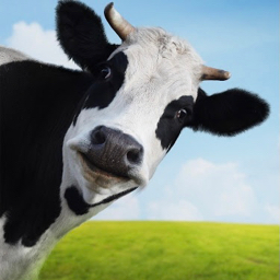 Valerie's Cows🐄 Discord Server Logo