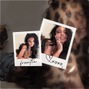 frantic 🐆 𓂃 ₊ ⊹ pfpsㆍiconsㆍgwsㆍemotes Discord Server Logo