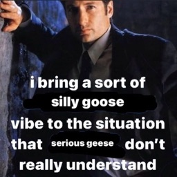 Silly Goose Gaming Discord Server Logo