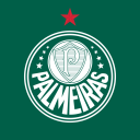 SE Palmeiras Discord Server Logo