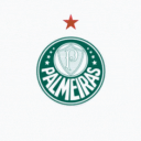 SE Palmeiras Discord Server Logo
