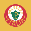 SE Palmeiras Discord Server Logo