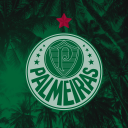 SE Palmeiras Discord Server Logo