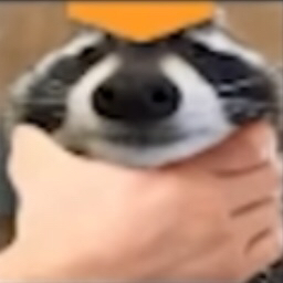 Doritos Universe Discord Server Logo