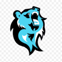 COMMUNITY Discord Server Logo