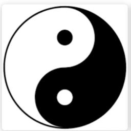 yin yang Discord Server Logo
