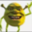 πΊππππ πΊπ π³πππππ shrekwizoiski Discord Server Logo