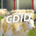 CDID Official Server Discord Server Logo